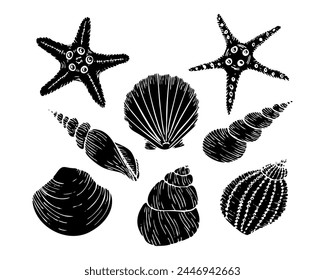 A set of vector seashell silhouette illustrations, including starfish, scallop. Hand drawn maritime seashell sketch. Undersea seashells graphic drawing. For icon, logo, seafood shop, menu.
