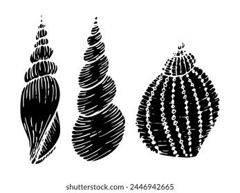 A set of vector seashell silhouette illustrations. Hand drawn maritime seashells sketch. Undersea seashells outline drawing. Design elements for icon, logo, seafood shop, menu.