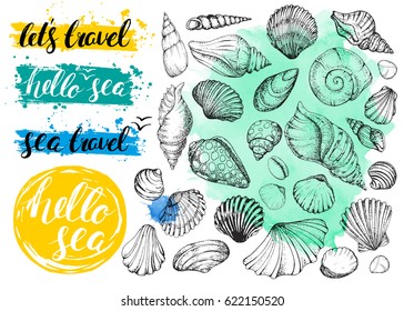 Set vector seashells and handwritten inscriptions Hello sea. Hand drawn vintage sketch elements of engraving. Nautical watercolor background. Modern brush lettering and calligraphy.