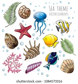 Set of vector seashells, starfish and jellyfish on white background for design. Vector illustration.