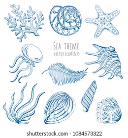 Set of vector seashells, starfish and jellyfish on white background for design. Vector illustration.