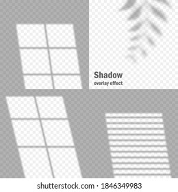 Set of vector shadow overlay effects.  Transparent soft light and jalousie window shadows. Mockup collection of transparent window shadow and natural lightning. 10 eps mesh. 