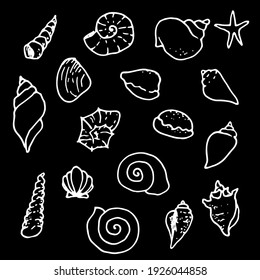 a set of vector shells in the doodle style. hand-drawn seashells, starfish white outline sketch isolated elements on black background for design template