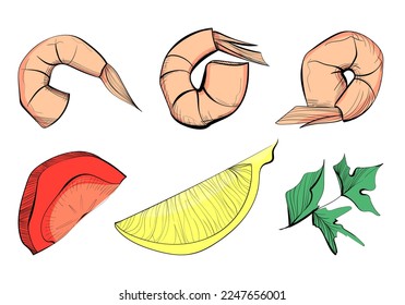 Set with vector shrimp, tomato, greens and lemon