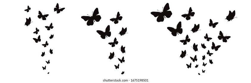 Set of vector silhouette of butterflies on white background. Symbol of nature and insect.