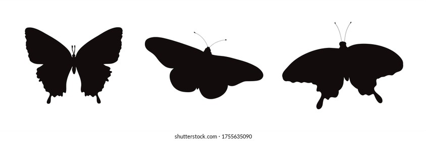 Set of vector silhouette of butterflies on white background. Symbol of insect.