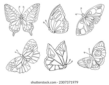 set of vector silhouette butterfly, coloring page
