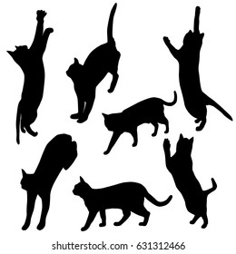 Set vector silhouette of the cat, different poses, black color, isolated on white background