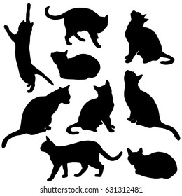 Set vector silhouette of the cat, different poses, black color, isolated on white background