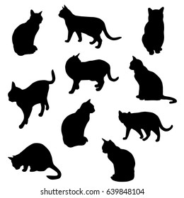 Set vector silhouette of the cat, different poses, standing and sitting,  black color, isolated on white background