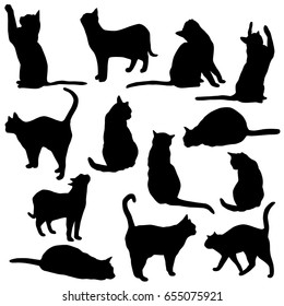 Set vector silhouette of the cat, different poses, sits and lies,  black color, isolated on white background