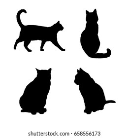 Set vector silhouette of the cat, different poses, black color, isolated on white background. Reallistic illustrations