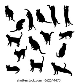 Set vector silhouette of the cat, different poses, sits and lies,  black color, isolated on white background