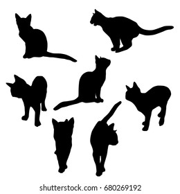 Set vector silhouette of the cat, different poses, standing and sitting,  black color, isolated on white background