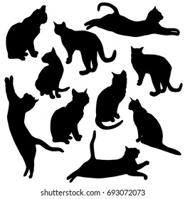 Set vector silhouette of the cat, different poses, black color, isolated on white background