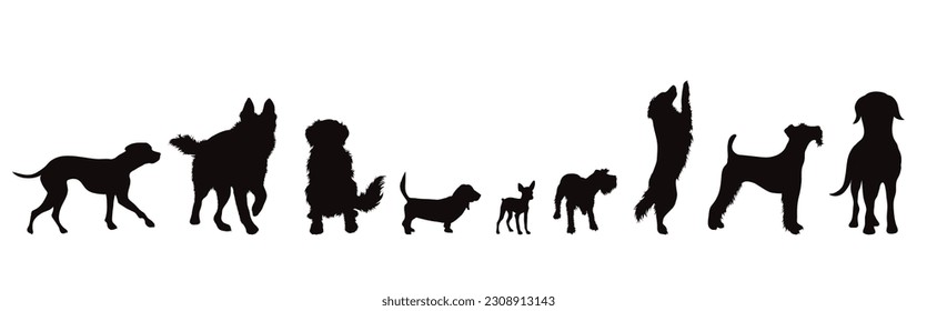 Set of vector silhouette of different dogs on white background. Symbol of dog and pet.