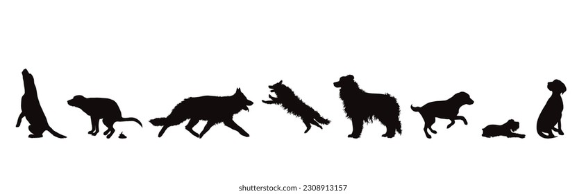 Set of vector silhouette of different dogs on white background. Symbol of dog and pet.
