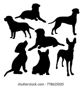 Set vector silhouette of the dog, different poses, black color, isolated on white background