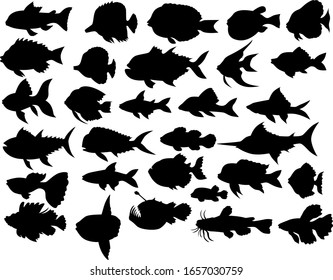 Set of vector silhouette fishes of different kinds in black.