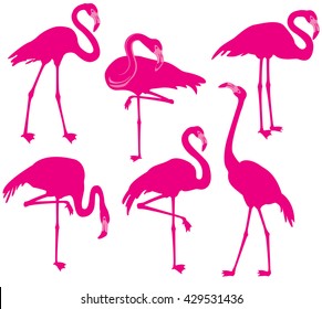 Conjunto de silueta vectorial de flamencos