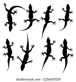 Set of vector silhouette in the shape of a lizard or gecko isolated on white background.
