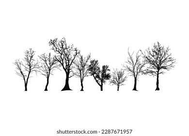 Set of vector silhouette of trees on white background. Symbol of nature.