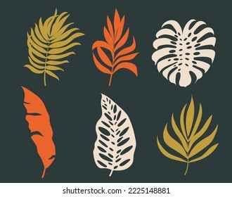 A set of vector silhouettes of bright tropical leaves. Isolated on a white background. Drawing sketches of leaves. Silhouettes of tropical leaves. Tropical palm leaves.