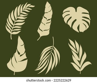 Conjunto de siluetas vectoriales de hojas tropicales brillantes. Aislado sobre un fondo blanco. Dibujar esbozos de hojas. Silhouettes de hojas tropicales. Hojas tropicales de palma.