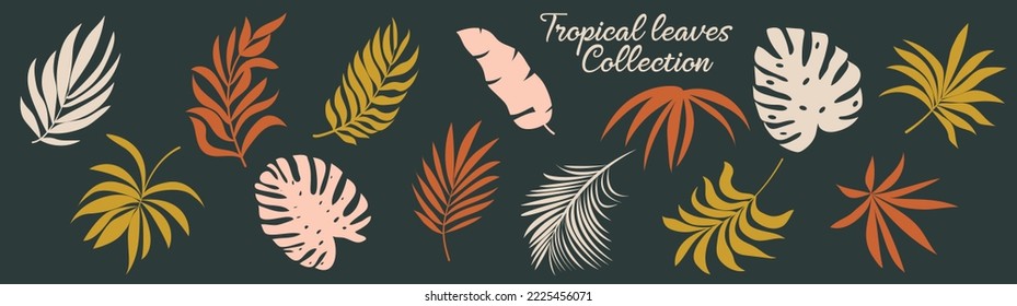 Conjunto de siluetas vectoriales de hojas tropicales brillantes. Aislado sobre un fondo blanco. Dibujar esbozos de hojas. Silhouettes de hojas tropicales. Hojas tropicales de palma.