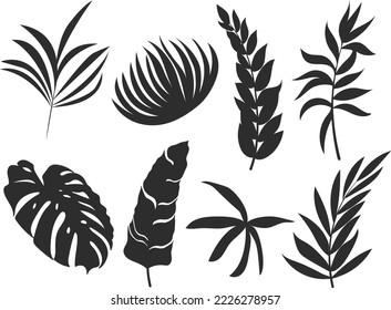 Set of vector silhouettes of bright tropical leaves. Isolated on a white background. Drawing sketches of leaves. Silhouettes of tropical leaves. Tropical palm leaves.