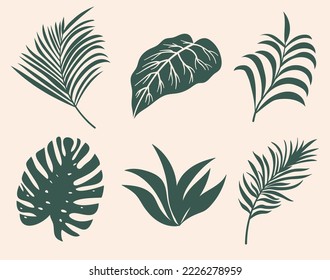 Set of vector silhouettes of bright tropical leaves. Isolated on a white background. Drawing sketches of leaves. Silhouettes of tropical leaves. Tropical palm leaves.