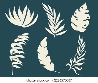 Set of vector silhouettes of bright tropical leaves. Isolated on a white background. Drawing sketches of leaves. Silhouettes of tropical leaves. Tropical palm leaves.
