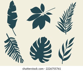 Set of vector silhouettes of bright tropical leaves. Isolated on a white background. Drawing sketches of leaves. Silhouettes of tropical leaves. Tropical palm leaves.