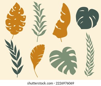 Set of vector silhouettes of bright tropical leaves. Isolated on a white background. Drawing sketches of leaves. Silhouettes of tropical leaves. Tropical palm leaves.