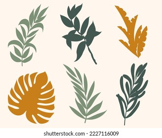 Set of vector silhouettes of bright tropical leaves. Isolated on a white background. Drawing sketches of leaves. Silhouettes of tropical leaves. Tropical palm leaves.