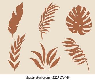 Conjunto de siluetas vectoriales de hojas tropicales brillantes. Aislado sobre un fondo blanco. Dibujar esbozos de hojas. Silhouettes de hojas tropicales. Hojas tropicales de palma.
