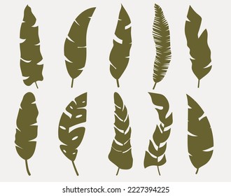 Conjunto de siluetas vectoriales de hojas tropicales brillantes. Aislado sobre un fondo blanco. Dibujar esbozos de hojas. Silhouettes de hojas tropicales. Hojas tropicales de palma.