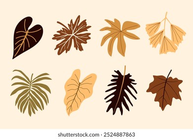 Set of vector silhouettes of bright tropical leaves. Isolated on a white background. Drawing sketches of leaves. Silhouettes of tropical leaves. Tropical palm leaves.	