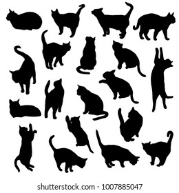 Set vector silhouettes of the cat, different poses, standing, jumping and sitting,  black color, isolated on white background