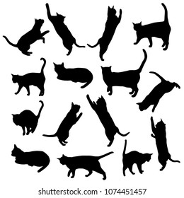 Set vector silhouettes of the cat, different poses, standing, jumping and sitting,  black color, isolated on white background