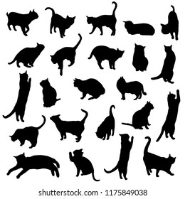 Set vector silhouettes of the cat, different poses, standing, jumping and sitting,  black color, isolated on white background