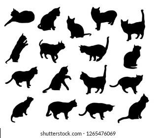 Set vector silhouettes of the cat, different poses, standing, jumping and sitting,  black color, isolated on white background