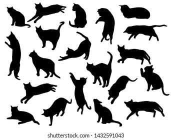 Set vector silhouettes of the cat, different poses, standing, jumping and sitting,  black color, isolated on white background