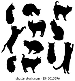 Set vector silhouettes of the cat, different poses, standing, jumping and sitting,  black color, isolated on white background