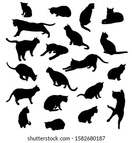 Set vector silhouettes of the cat, different poses, standing, jumping and sitting,  black color, isolated on white background