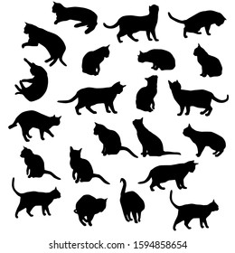 Set vector silhouettes of the cat, different poses, standing, jumping and sitting,  black color, isolated on white background