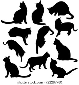 Set vector silhouettes of the cat, different poses, standing and sitting,  black color, isolated on white background