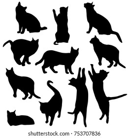 Set Vector Silhouettes Cat Different Poses Stock Vector (Royalty Free ...