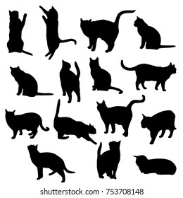 Set vector silhouettes of the cat, different poses, standing, jumping and sitting,  black color, isolated on white background