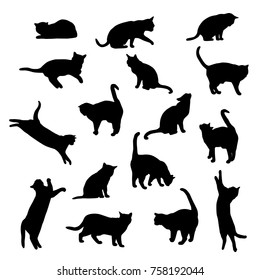 Set vector silhouettes of the cat, different poses, standing, jumping and sitting,  black color, isolated on white background